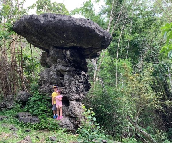 IMG-20190209-WA0009
