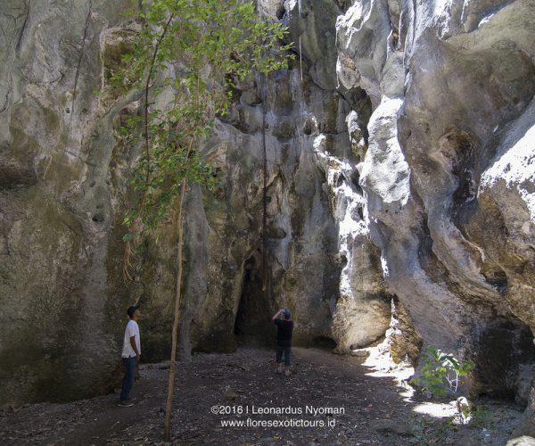 Linko Travel (105)