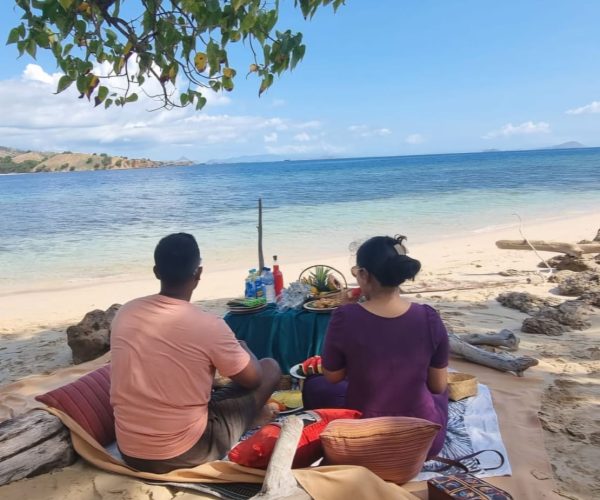picnic4