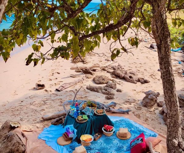 picnic5