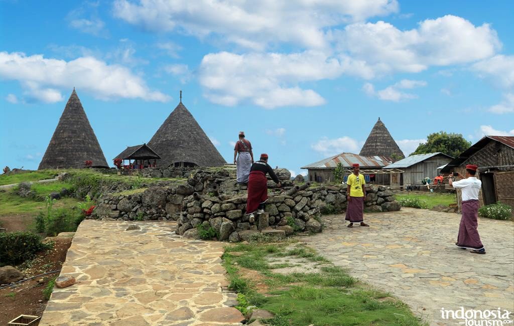 rumah-adat-todo-manggarai-2